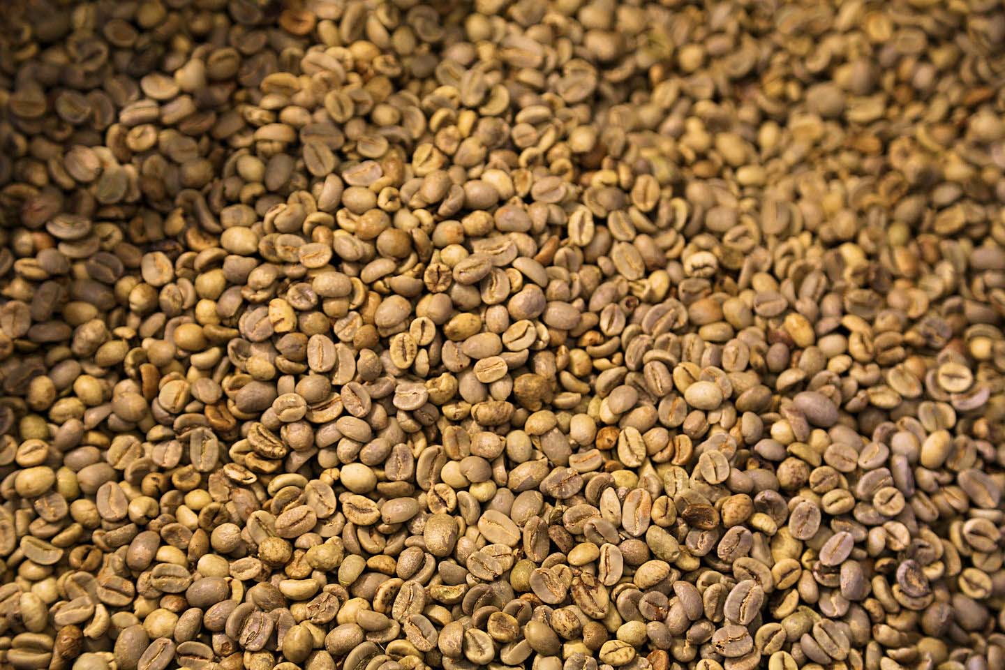 Coffee Beans